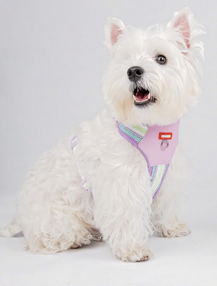 Dopamine Color Pet Harness