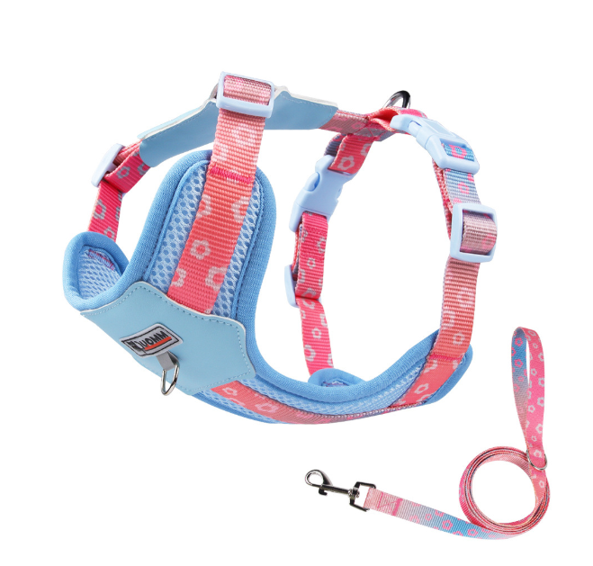 Bicolor Pet Harness