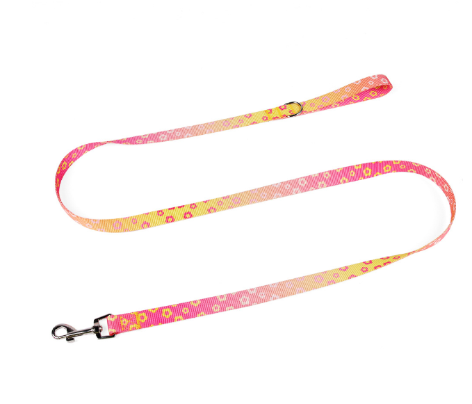 Bicolor Pet Harness