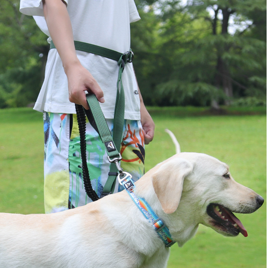 Adjustable Anti - Lunge Leash