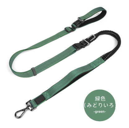 Adjustable Anti - Lunge Leash