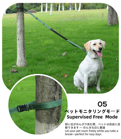 Adjustable Anti - Lunge Leash