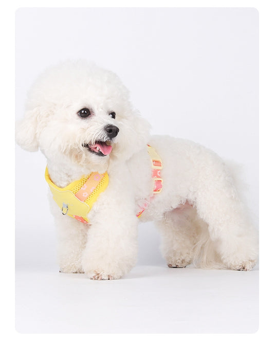 Bicolor Pet Harness