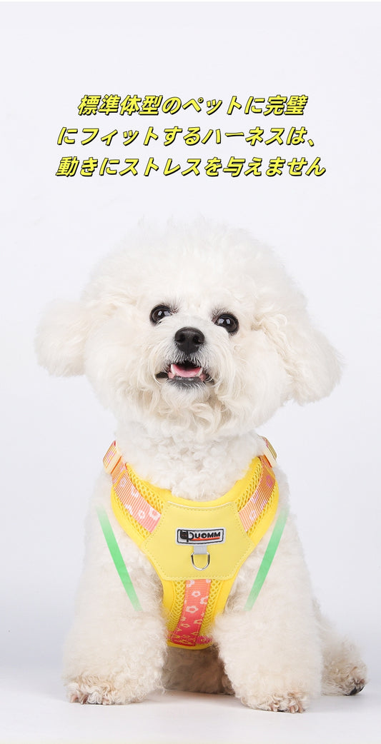 Bicolor Pet Harness