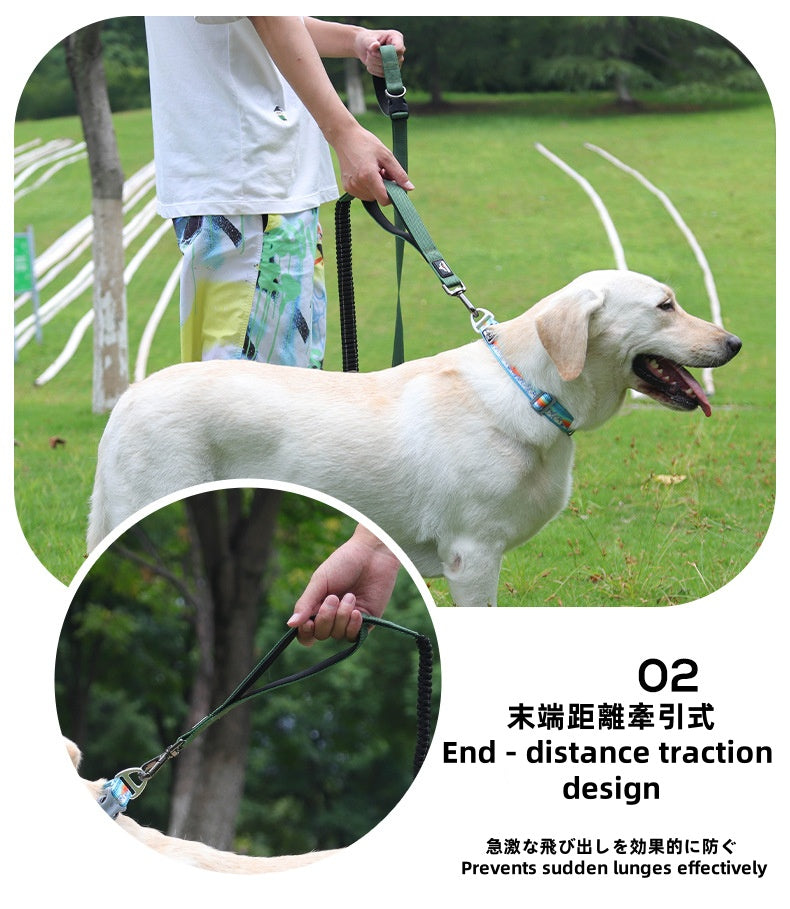 Adjustable Anti - Lunge Leash