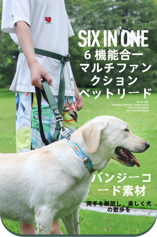 Adjustable Anti - Lunge Leash