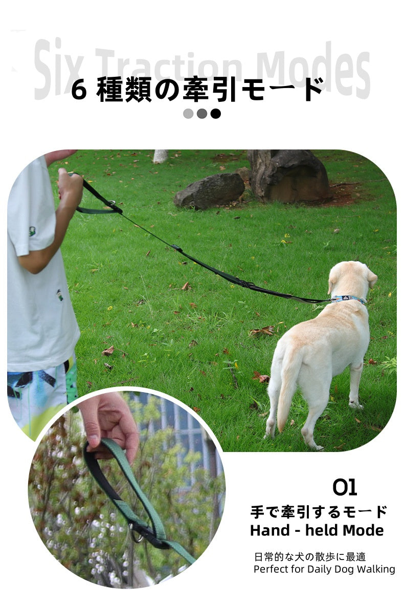 Adjustable Anti - Lunge Leash