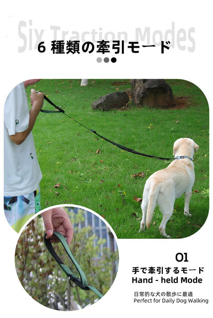 Adjustable Anti - Lunge Leash