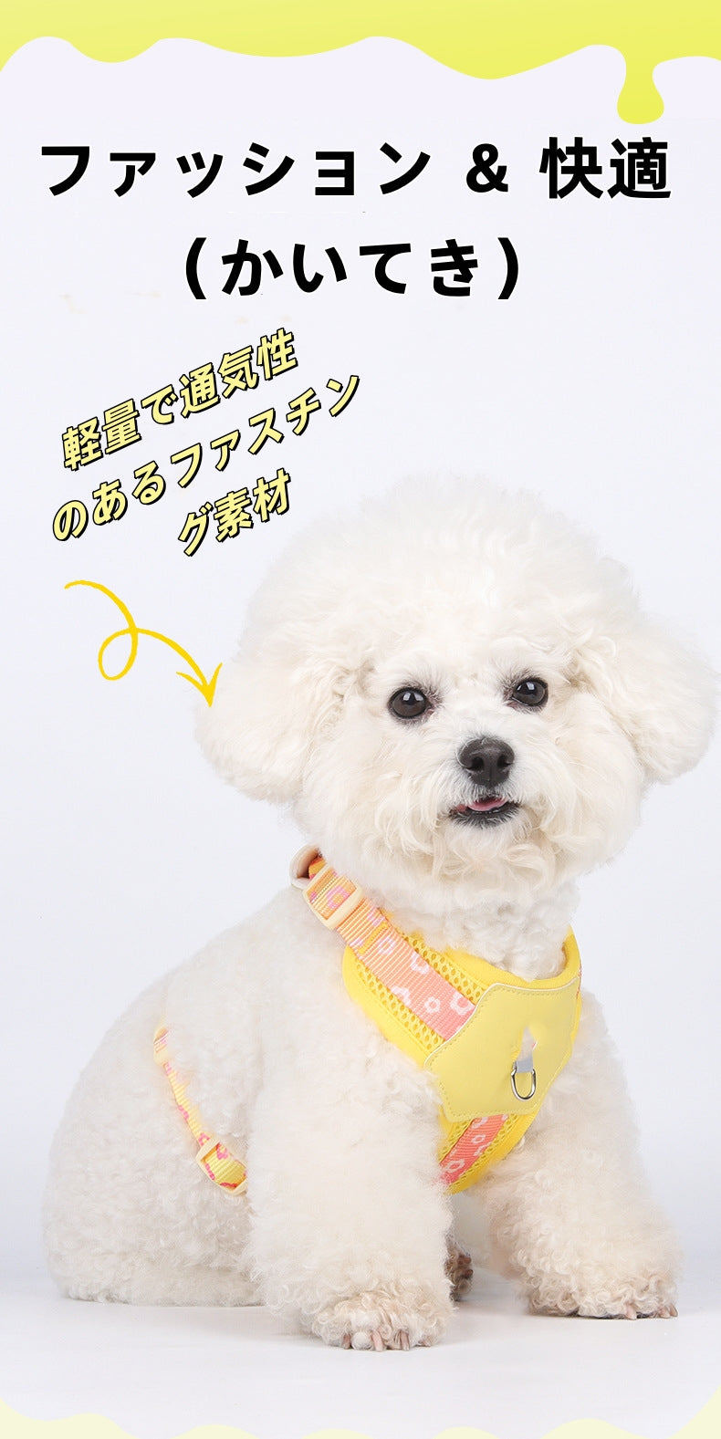Bicolor Pet Harness