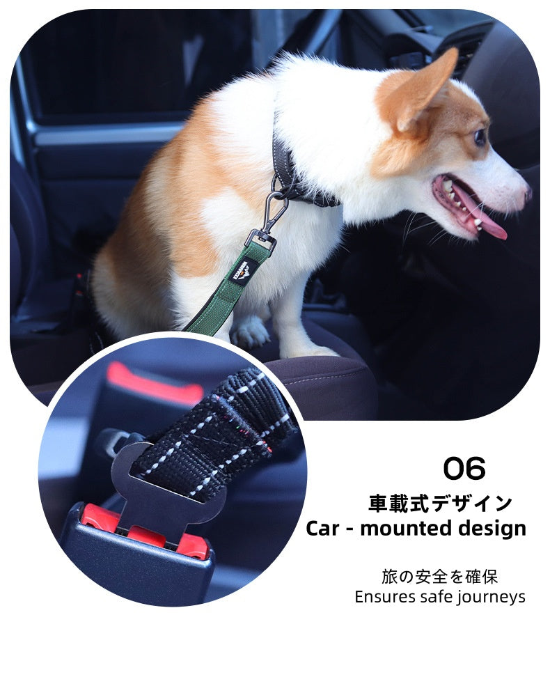 Adjustable Anti - Lunge Leash