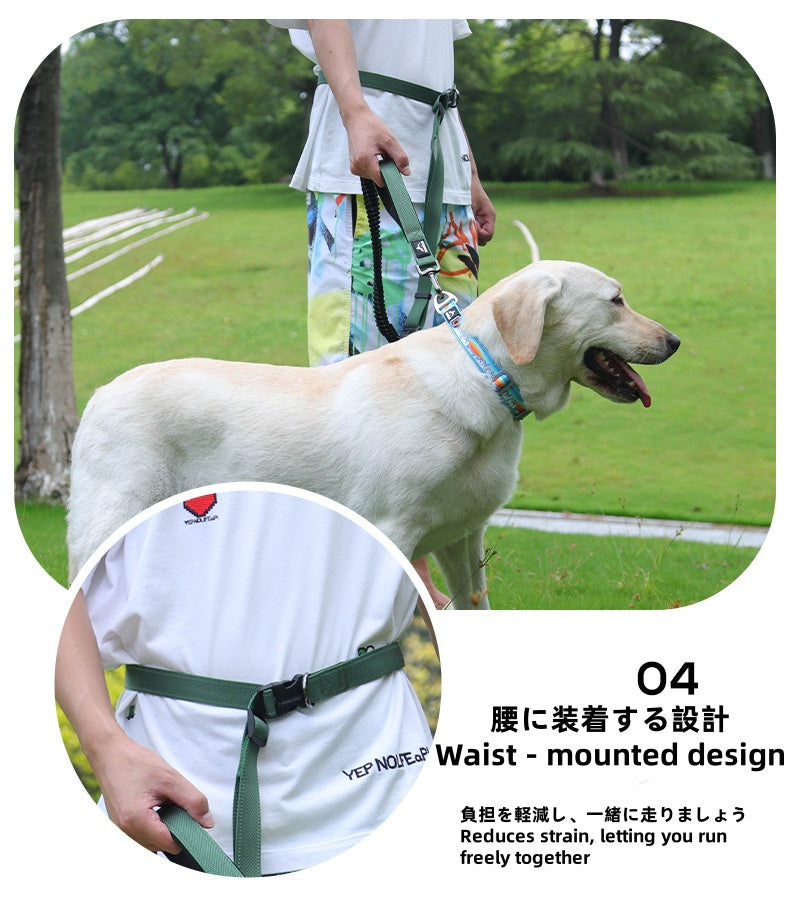 Adjustable Anti - Lunge Leash